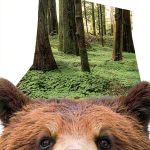 Crown Kindle Travel Book East South Central US Adventure Guide-0